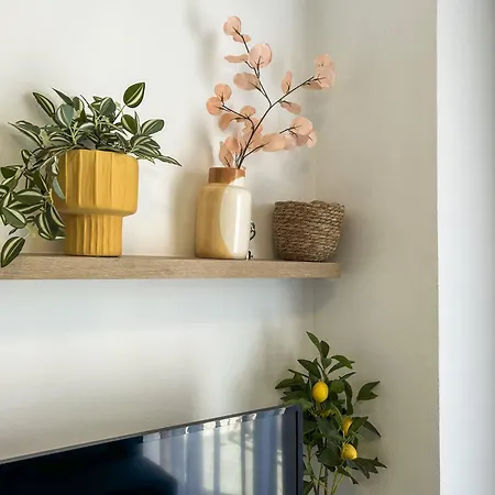874 Apartment *
